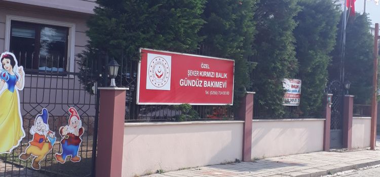Özel Şeker Kırmızı Balık Gündüz Bakım Evi