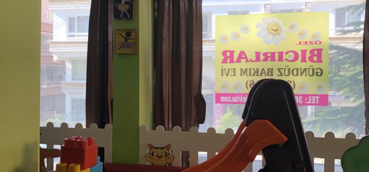 Bıcırlar Kreş ve Gündüz Bakım Evi