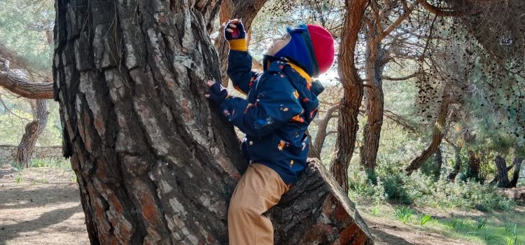 Zigzag Kids Club Antalya Kreş Lara