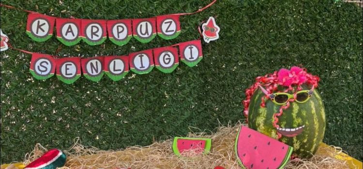 Kayseri Alesta Kids Kreş ve Gündüz Bakımevi