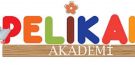 Pelikan Akademi