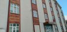 Kartepe Beyaz Zambak