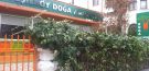 Yeşilköy Doğa Anaokulu