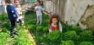 MAVİ ADA MONTESSORİ ANAOKULU